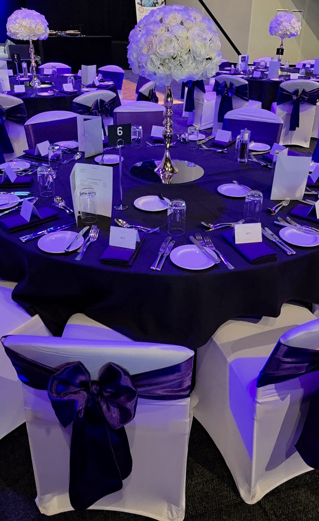 Luxury Event Gallery Image 6 - Opulent Decor and Events