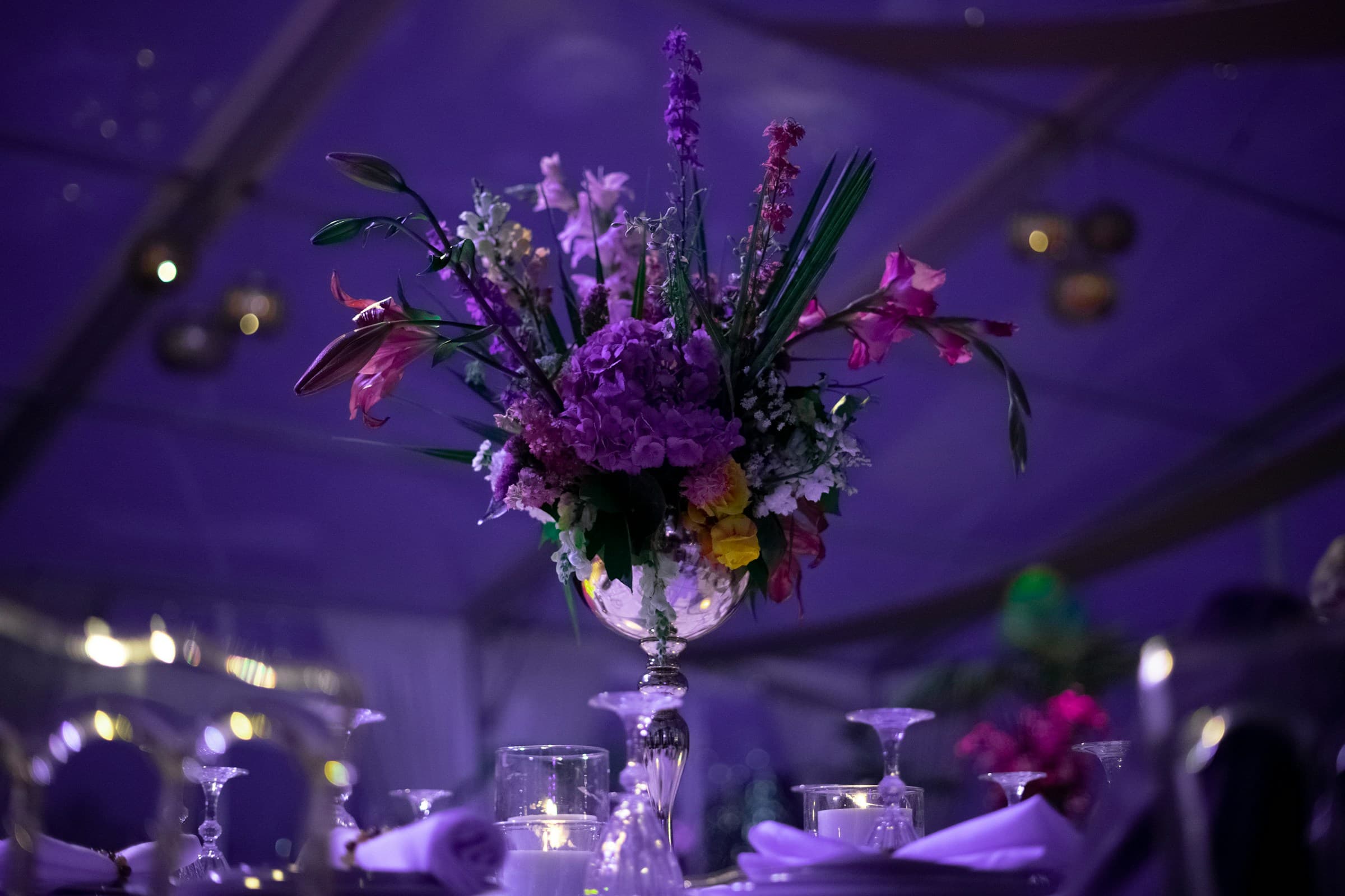 The Midnight Garden Gala - Luxury Event by Opulent