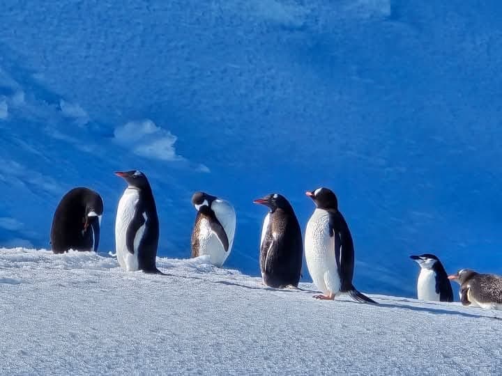 Antarctica