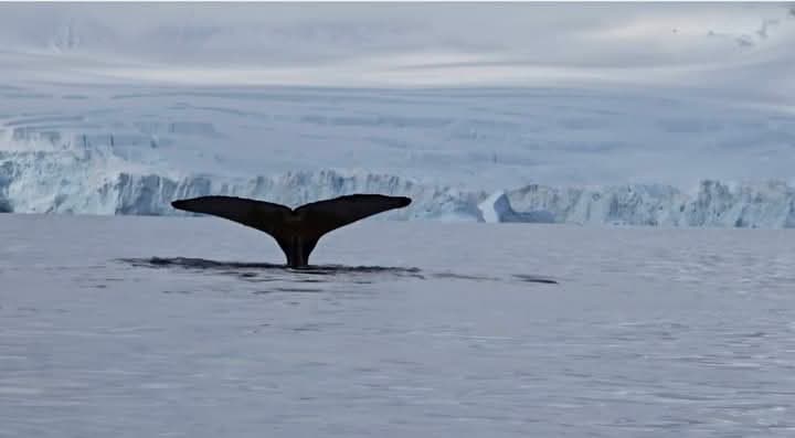 Antarctica View 2