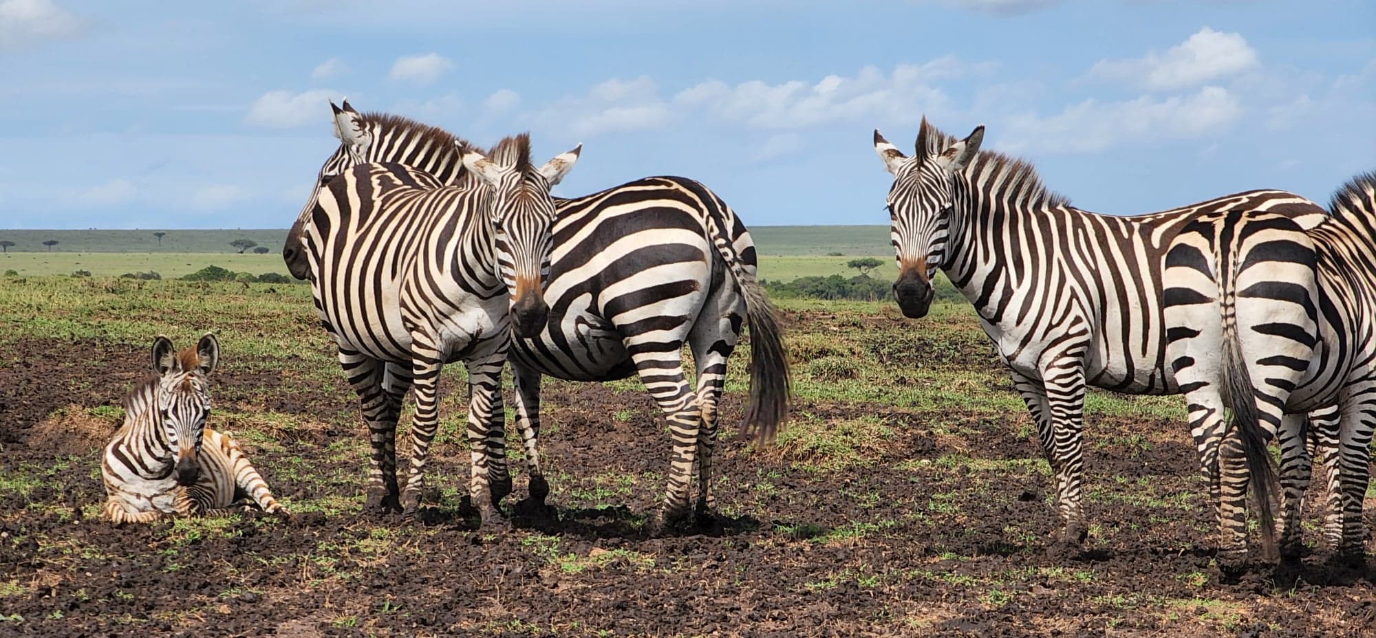 Maasai Mara View 3