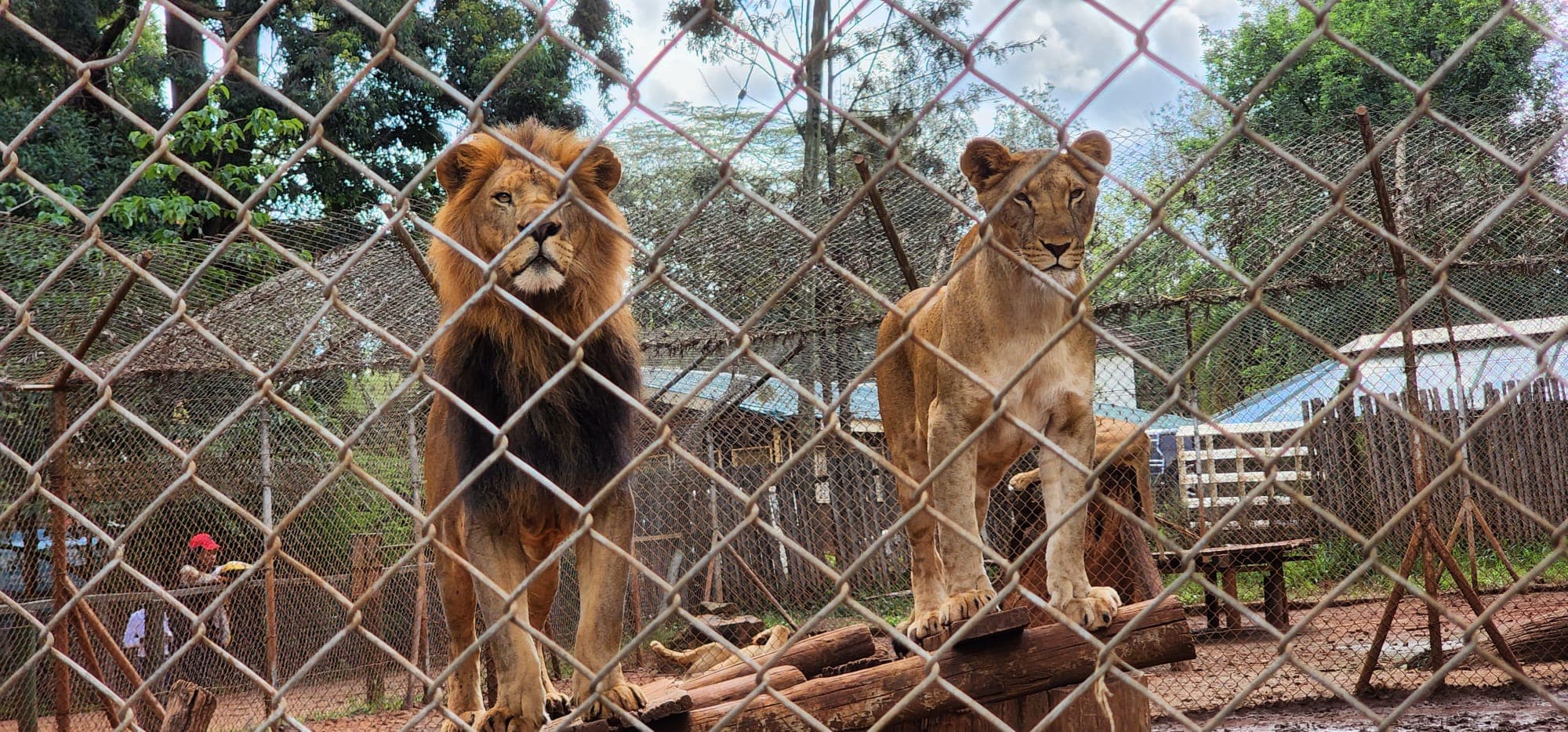Nairobi National Park