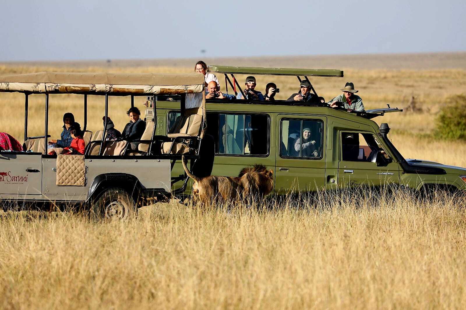 Destination Spotlight: Safari Luxury